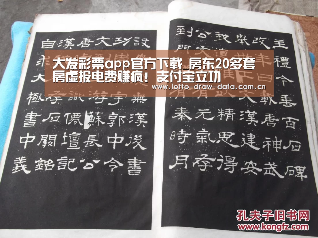 大发彩票app官方下载_房东20多套房虚报电费赚疯!支付宝立功(图1) 大发彩票app
